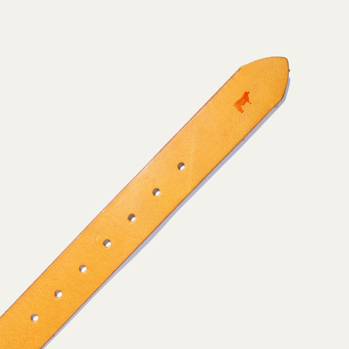 Jelly Bean Belt - Will Leather Goods